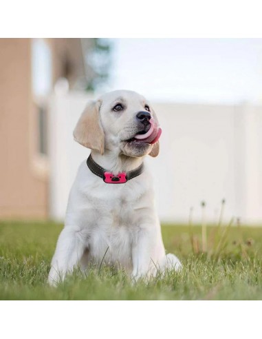 PuppyLove™ - Collier anti-aboiement 