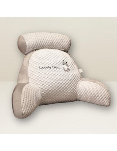 Coussin de Soutien Dorsal ZenPillow 