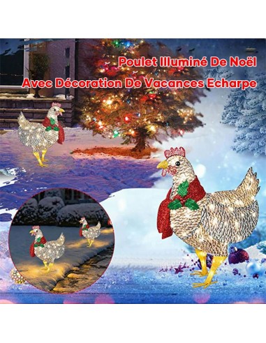 Poulet Illuminé Avec Echarpe Décoration Des Fêtes 