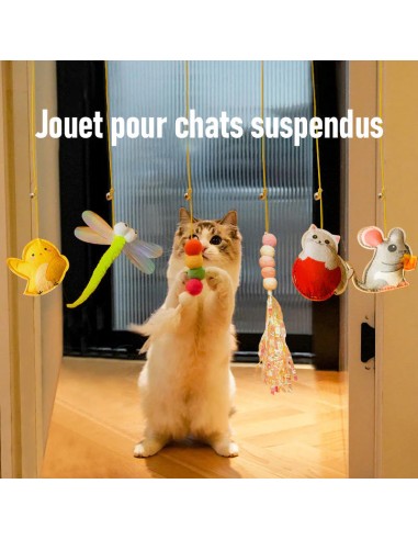 Jouet suspendu pour chats rebondissants 